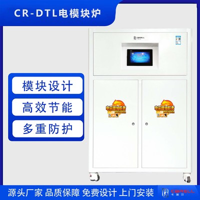 CR-DTL电模块炉
